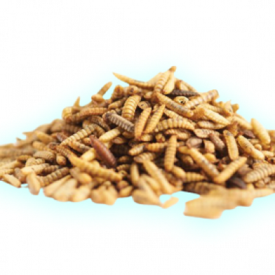 Enterra-Whole-Dried-Larvae 12